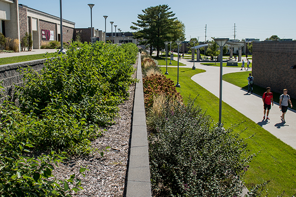 Campus walkway with landscaping, path, and people walking.